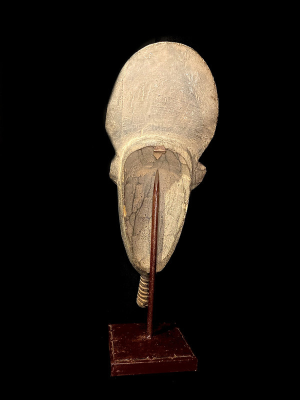 large image 11
