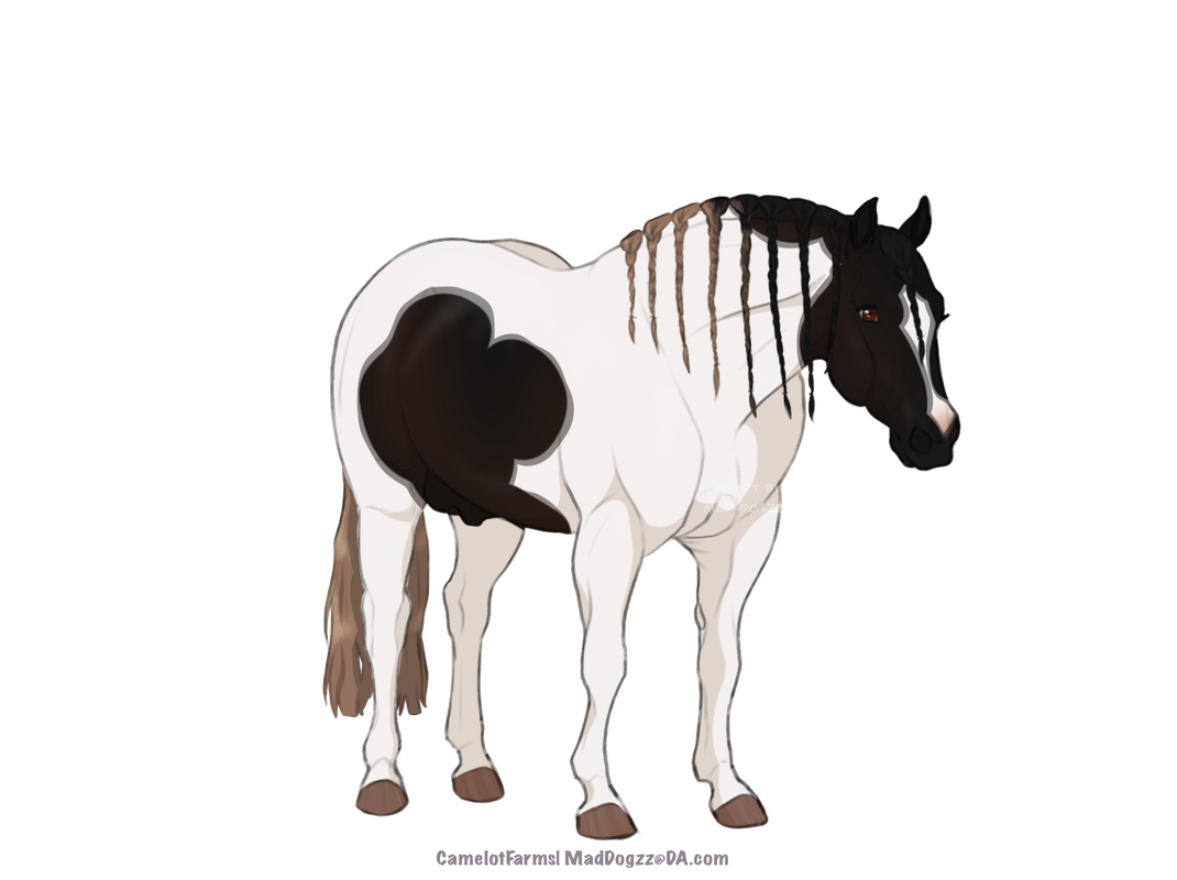 CC5266-FD-FF43-4319-9-E43-E61-BF0803-B74.png