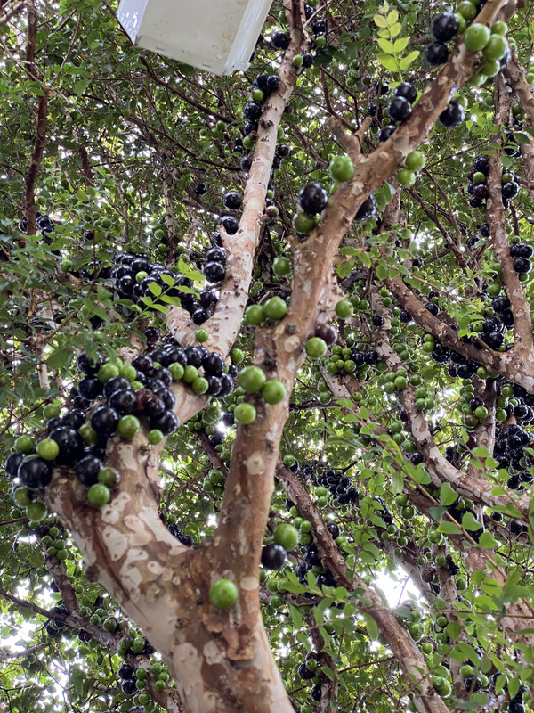 CAABE773-04CE-4421-87FE-64B093094A42