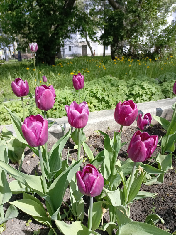 IMG_20240525_151749_128