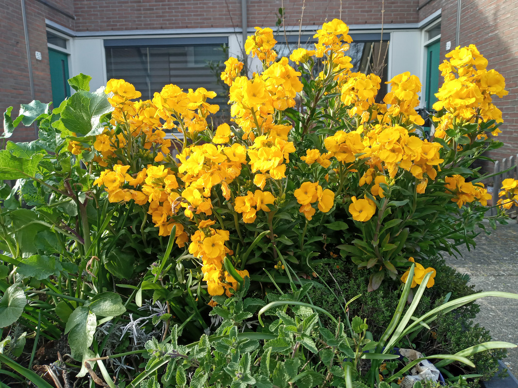 [Image: 20220411-181207.jpg]