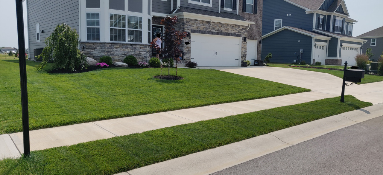 IMG_20210704_123732__01