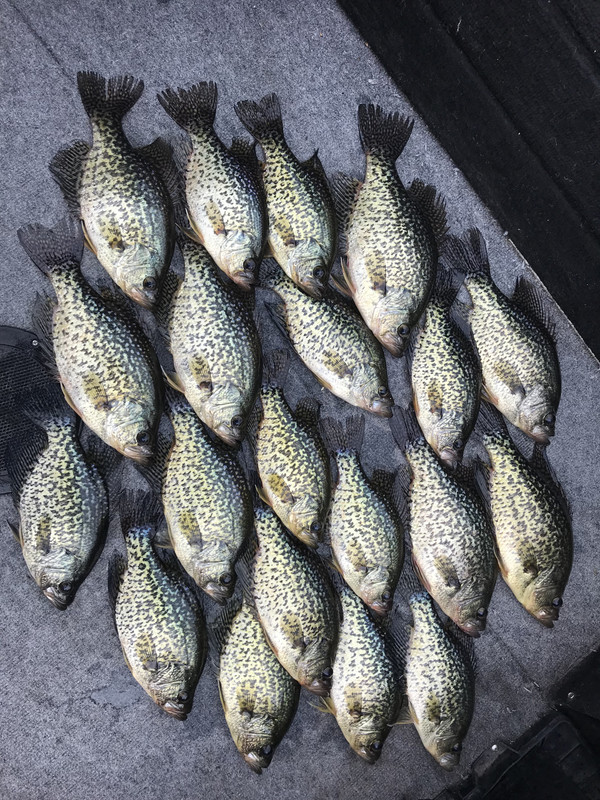 33CC34E2-F99B-4EBA-9135-BA9420B7EFFA