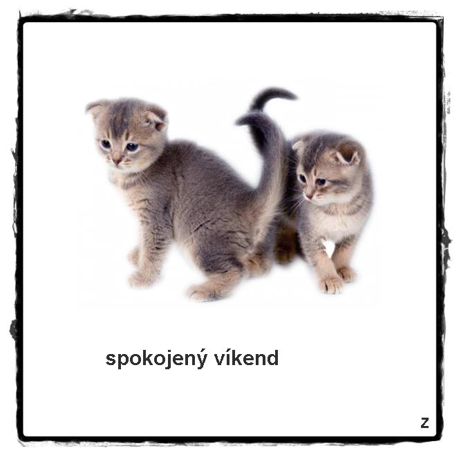 An den Beitrag angehängtes Bild: https://i.postimg.cc/pVcc4z24/27337336-546653825704779-1687371197694854478-n.jpg