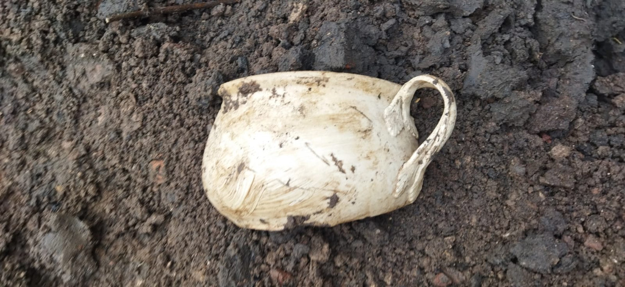 Whats App Image 2025 11 19 at 13 56 59