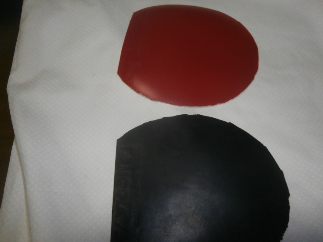 P1012029