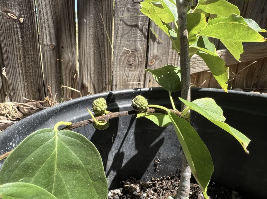 A7D1FE9C-20F0-4FB1-B37D-926137A5F108