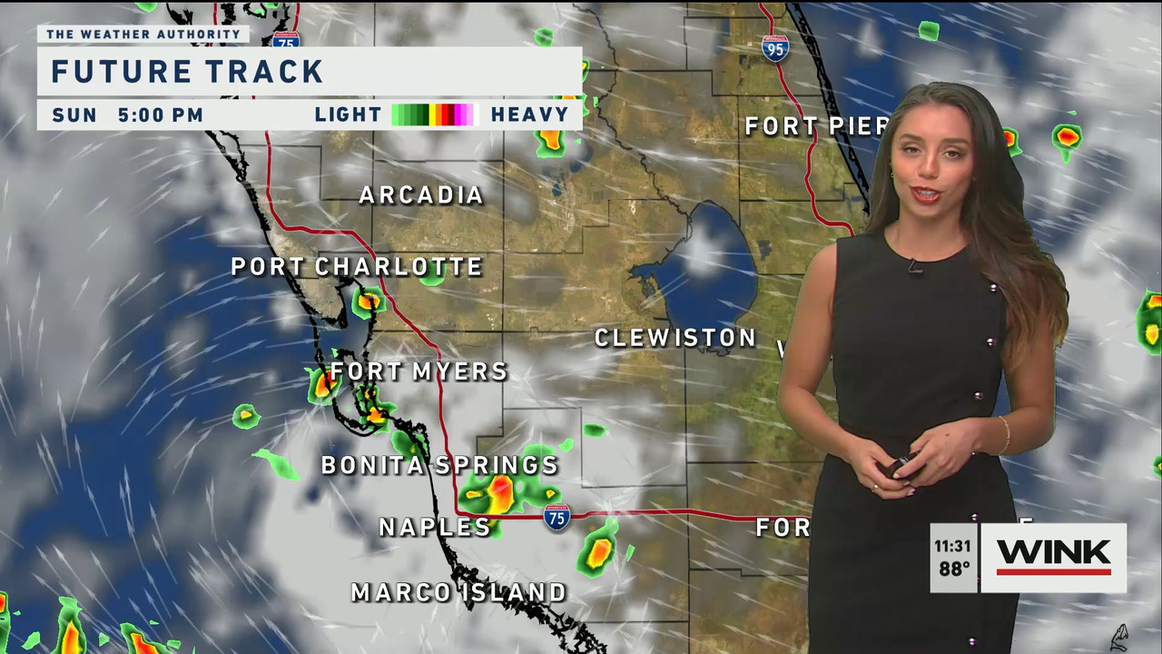 WINK News at 11 30 a.m. Sunday 2022_07_24_16_30_00.ts_snapshot_04.40.560