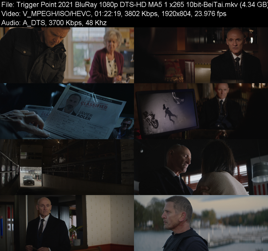 trigger-point-2021-bluray-1080p-dts-hd-m