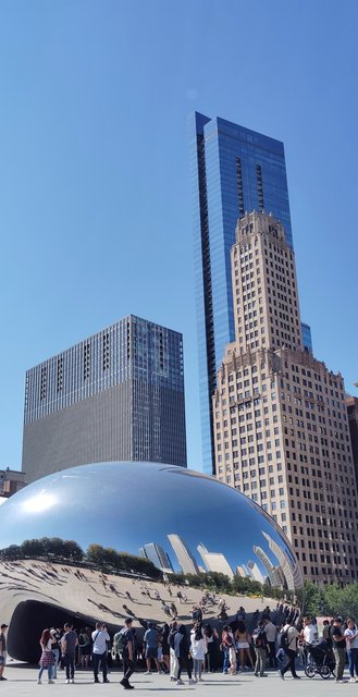 Caminando por Chicago: Esculturas, the Bean, lugares de películas y Torre Willis - Boston y Chicago (26)