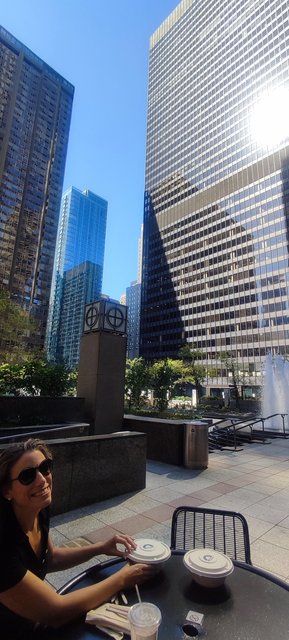 Caminando por Chicago: Esculturas, the Bean, lugares de películas y Torre Willis - Boston y Chicago (57)