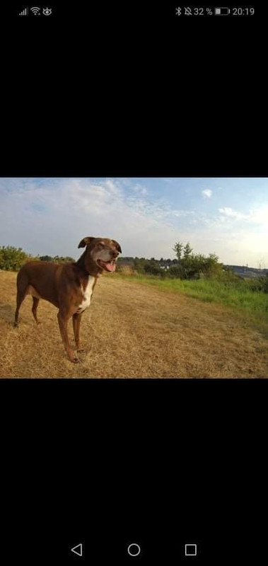 4593000B-8220-44E4-B65C-F792AACA87C8