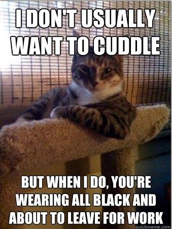 Cat Humor #7