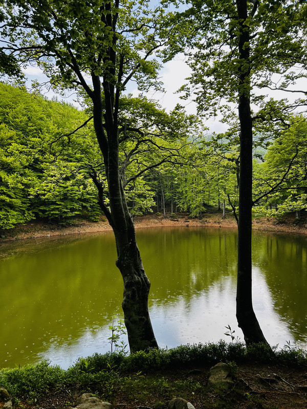 B8839AD3-07D9-487B-93ED-5DEC865FA245