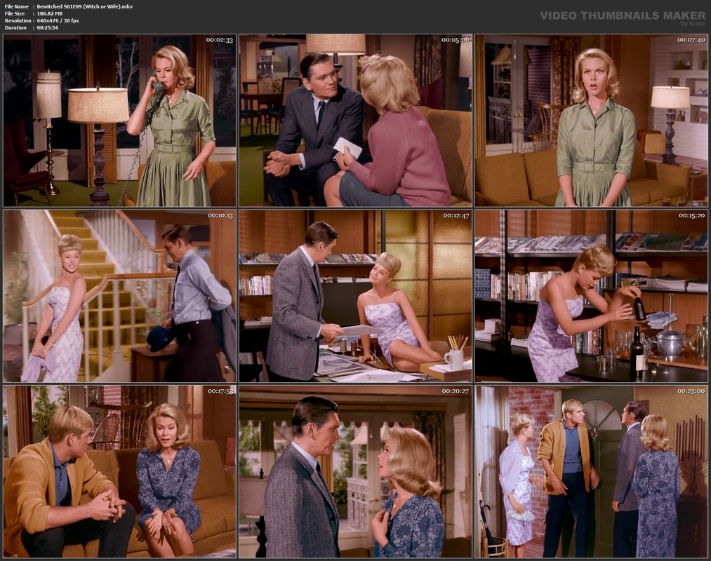 Bewitched S01E09 (Witch or Wife).mkv