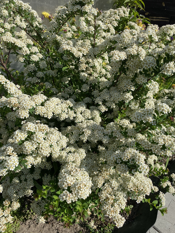 E010FA7C-5073-413C-8312-D402EEAD99E5