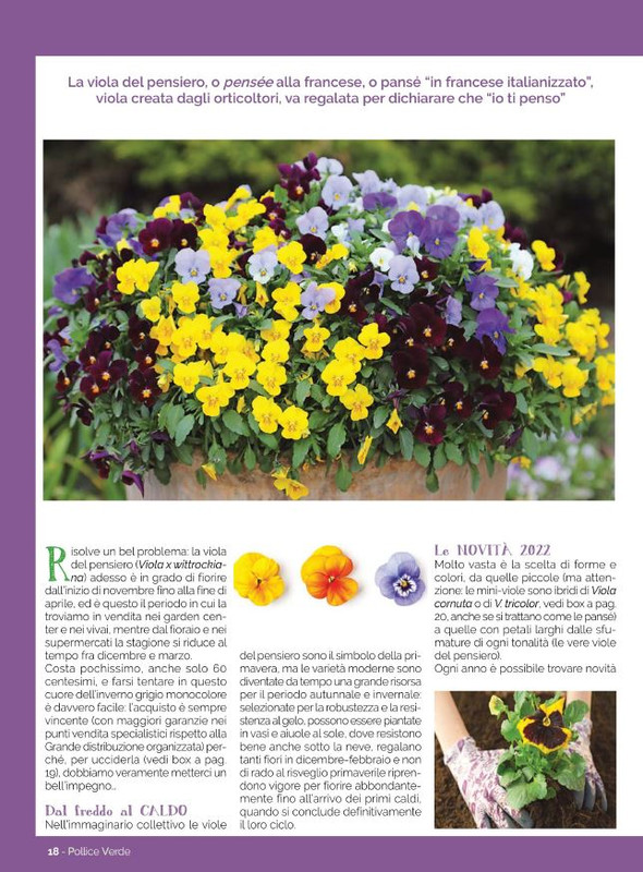 Pol Ver Gen-Feb 2022 (3)