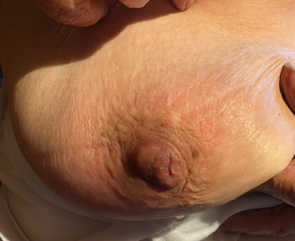 WhatsApp Image 2022-11-27 at 15.32.47