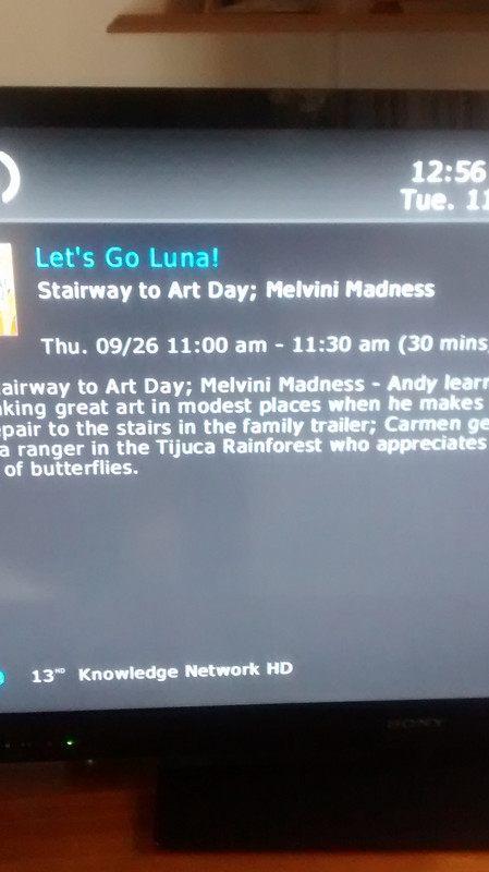 IMG_20191105_125644767