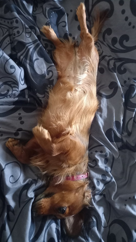 [Image: 20250221-153622.jpg]