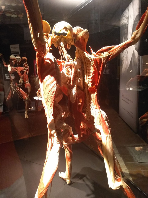 73482765_2477183655722984_7208976819628802048_n