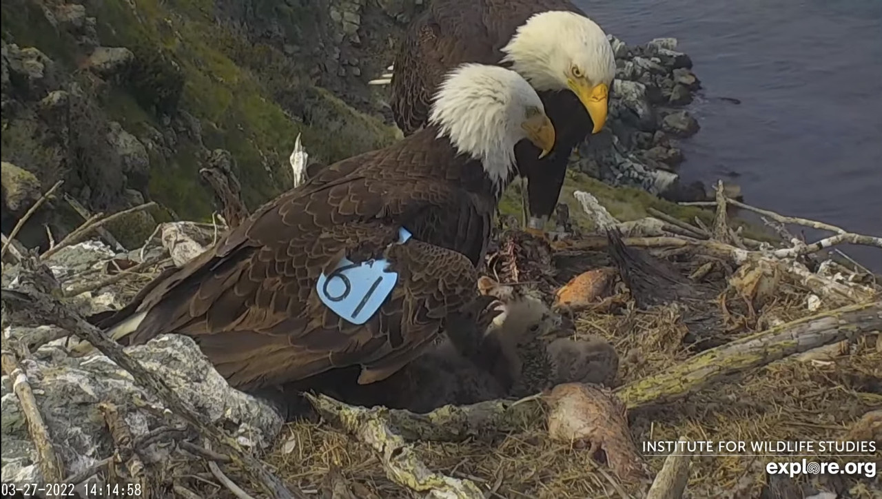 A49E9848-0BEC-48E6-A485-A7CB06637777