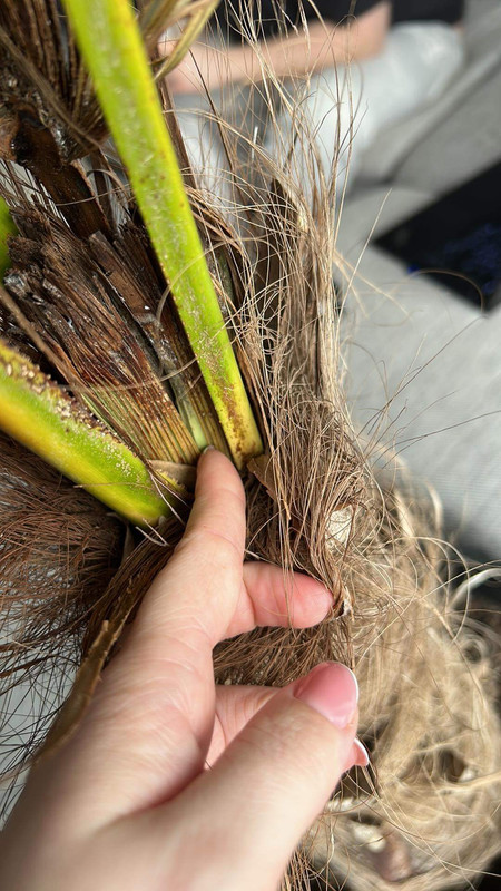 63A8BB52-640F-49B3-BC46-171640E958B8