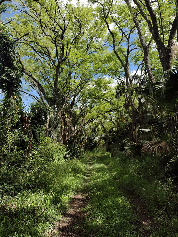 3afc6f2b 2c5a 43c0 90e6 9d05e2b5369f