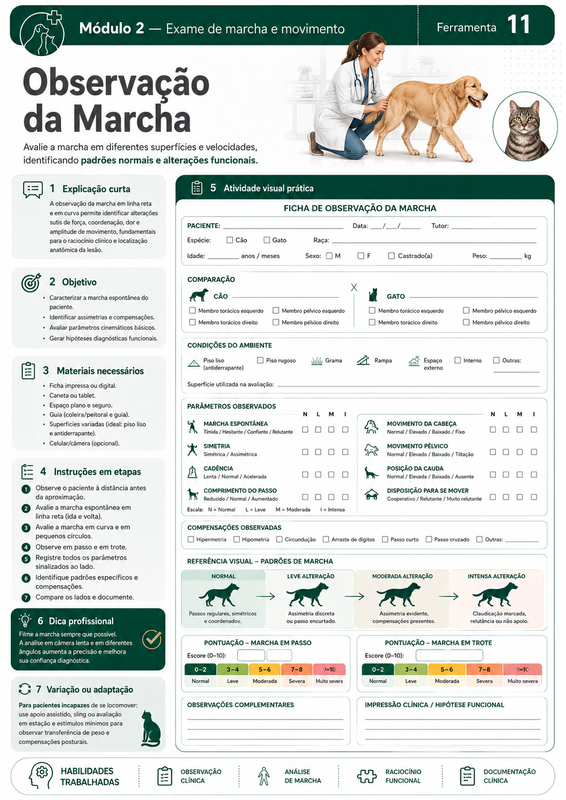 Página do material clínico 5