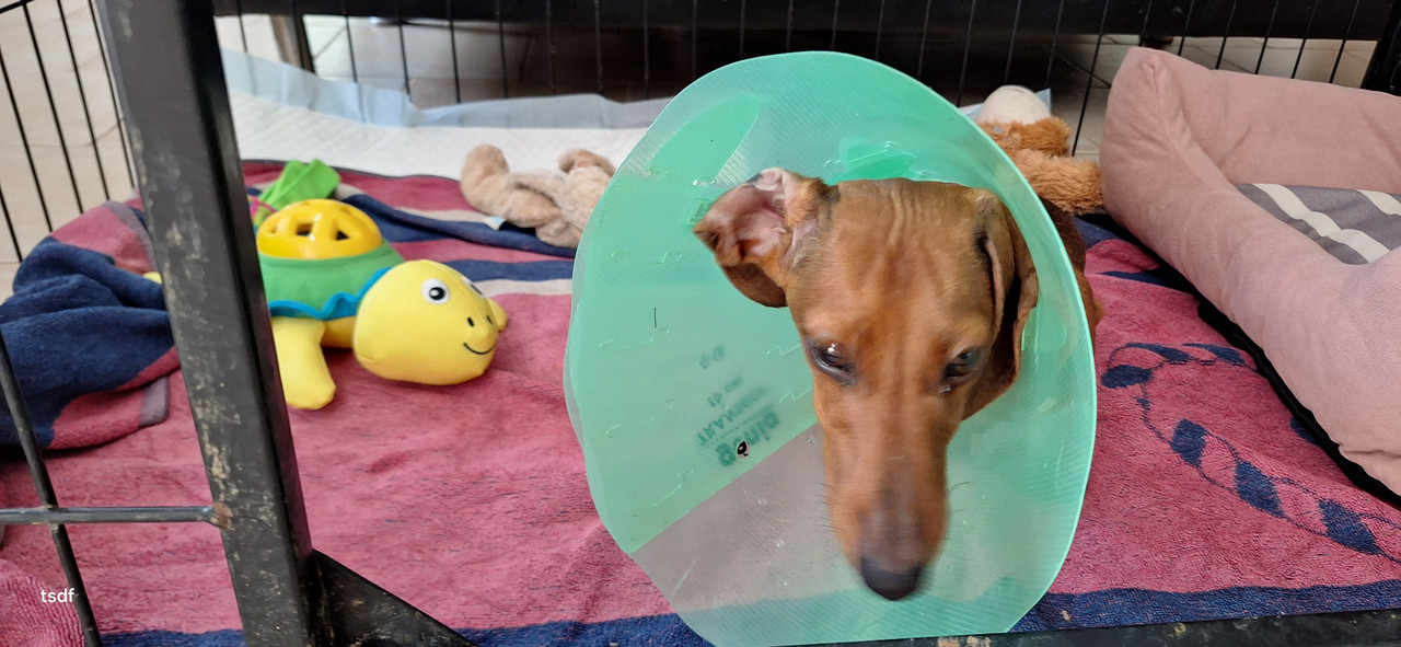 [Image: 20250429-115112.jpg]