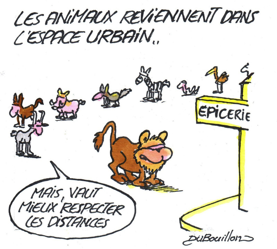 Les dessins du journal LE PROGRÈS - [ARCHIVES 01] - Page 9 2020-04-19-lp-03