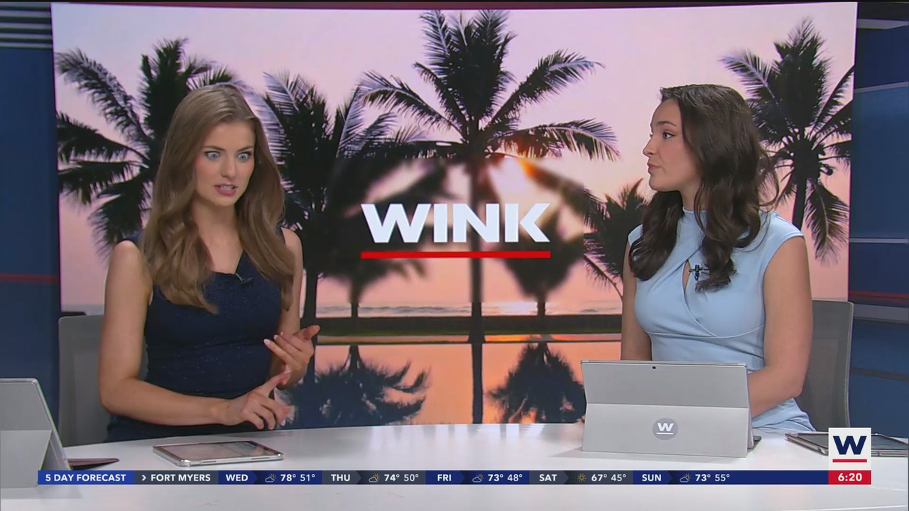 WINK News at 600am_20250101_11001130.ts_snapshot_21.31.921