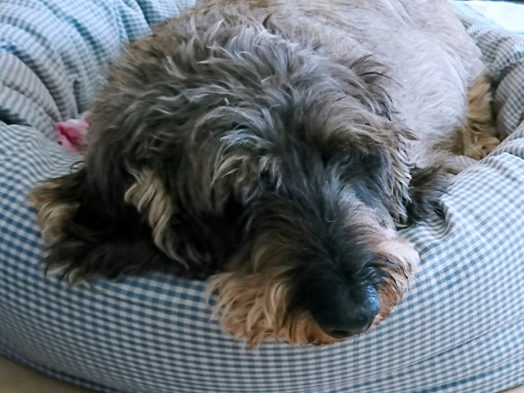 [Image: DSC-2591.jpg]