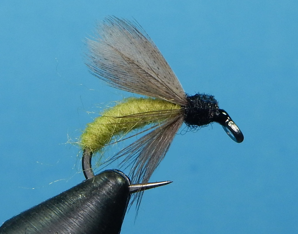 Green-caddis-Nymph-1080.jpg