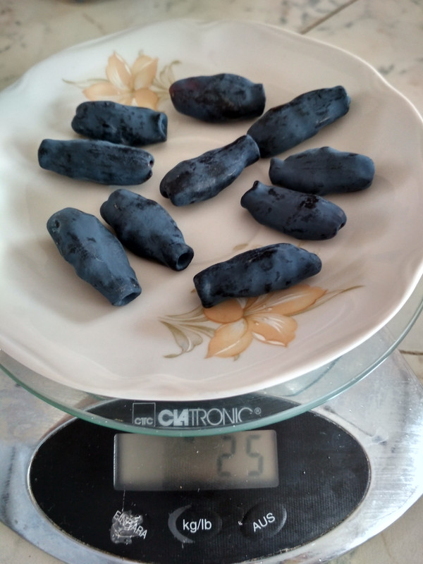 bakčarský velkán gramy