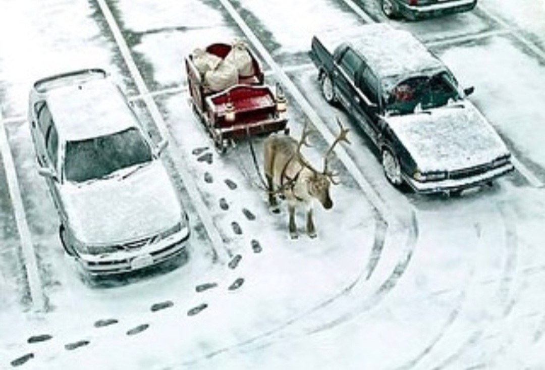 Screenshot_20231108_211929_Instagram