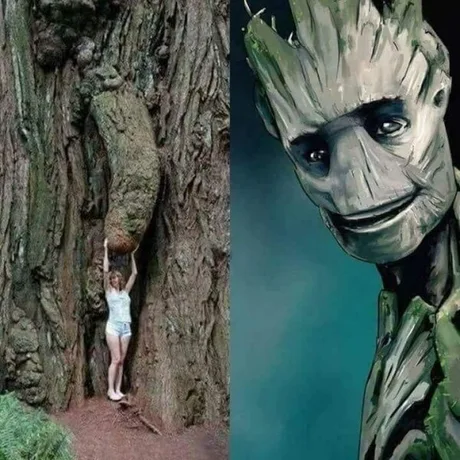 groot.webp