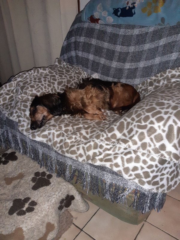 [Image: 20231022-200640.jpg]