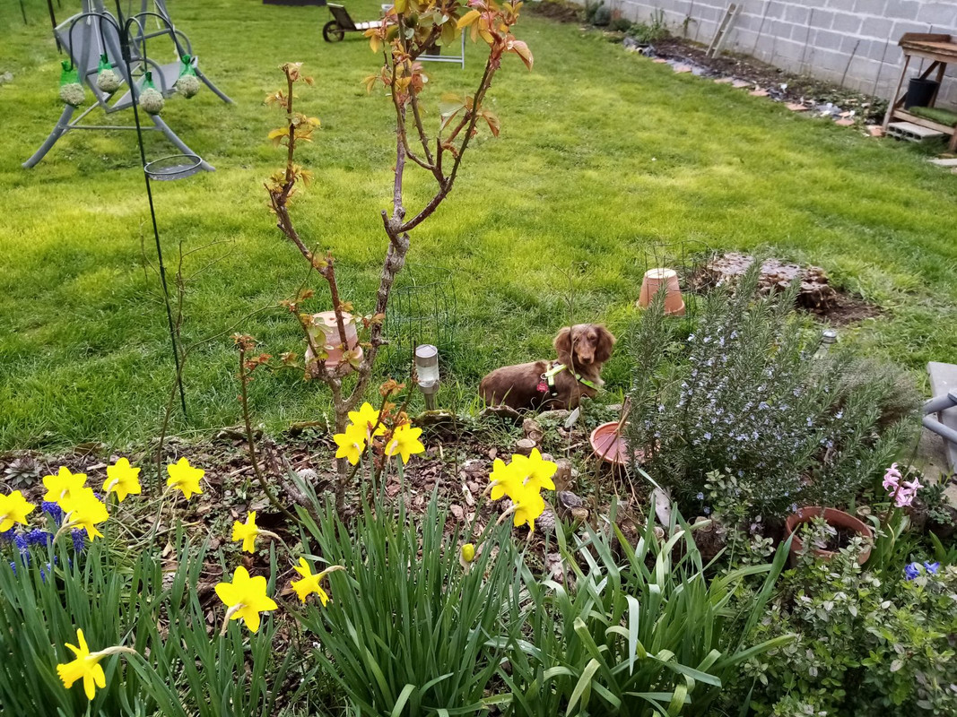 [Image: IMG-20240310-133000.jpg]