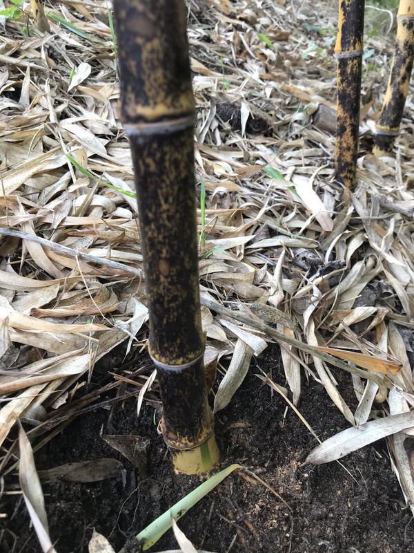 80CD0ADD-13A5-4627-80DD-81207451F795