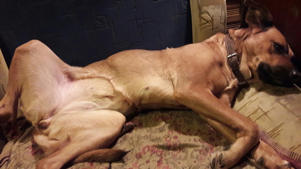 9E0FD27A-EF8E-41B2-B990-176BBA737504