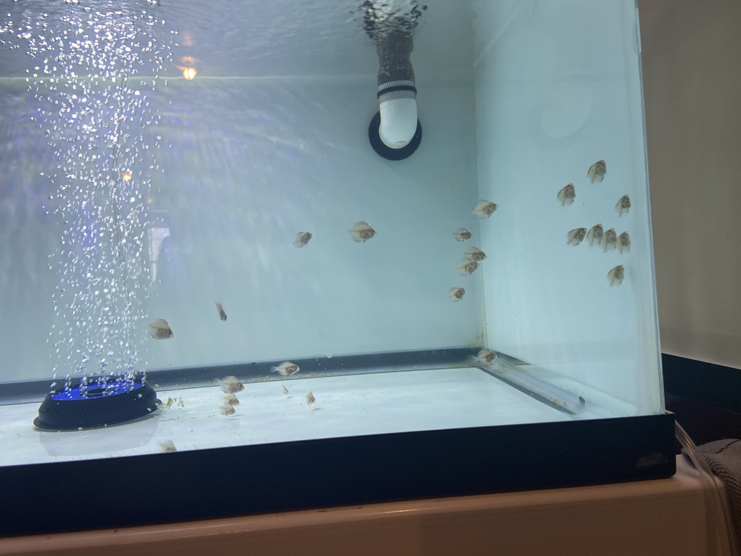 232CE5B9-561C-4567-9DC8-E49FD6CEB4FA