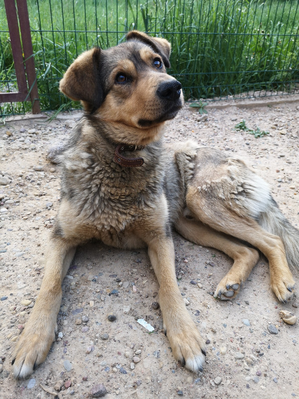 73A2D415-43E0-4CA3-85E8-F94ED068DAA7