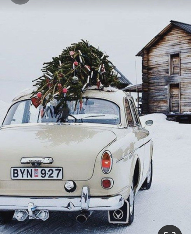 Screenshot_20230412_194647_Pinterest