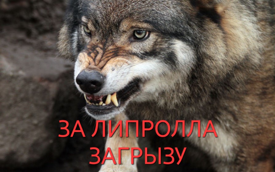 504dfc026104a3bfe759266387f1e854aedd0afc.jpg