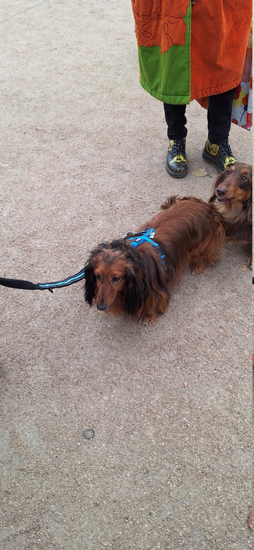 [Image: 20251116-142134.jpg]