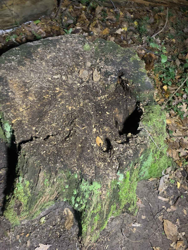 8382B7DF-A299-4EC8-B29C-5C1020A26955