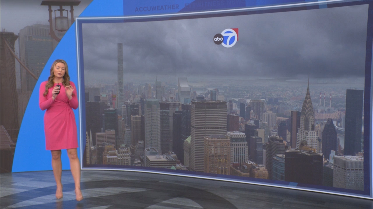 Eyewitness News Mornings at 10_20250407_15001600.ts_snapshot_17.46.678