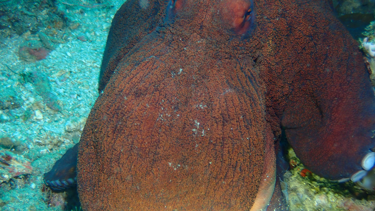 568E6FFF-8E09-4F68-A672-FF2E8EB0C93F