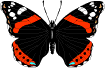 borboleta-preta.gif